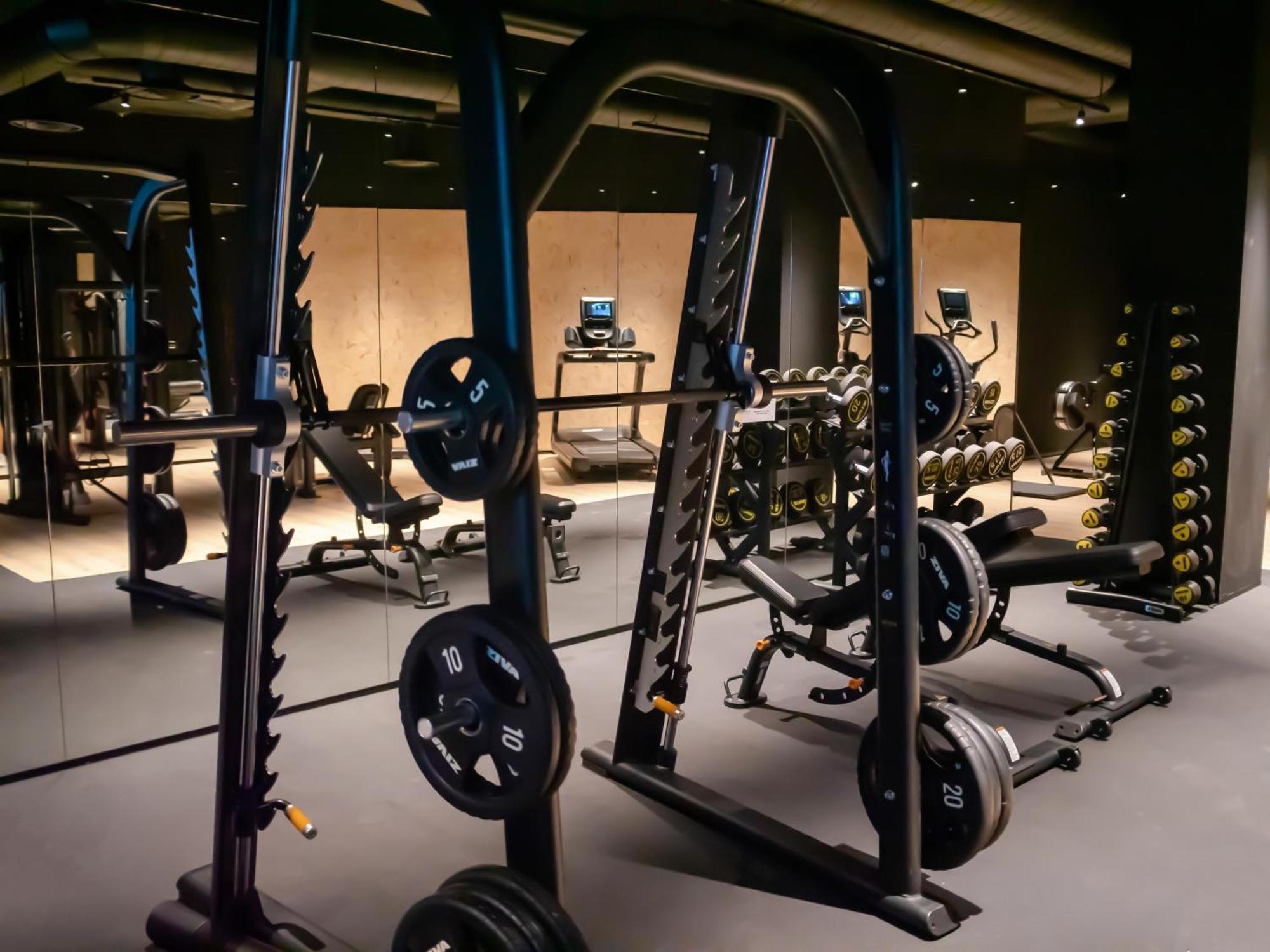 Hotel Princesa Parc Excellence Arinsal Exterior foto The gym at The Standard London